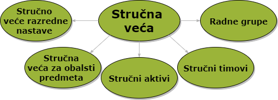 Strucna veca